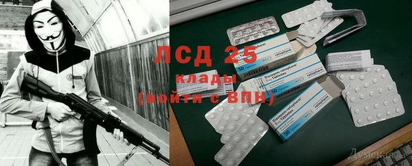 ГАЛЛЮЦИНОГЕННЫЕ ГРИБЫ Рославль